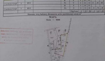 Działka rolno-budowlana Czarkowy Grąd