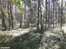 Działka budowlana Gródek. Zdjęcie 1