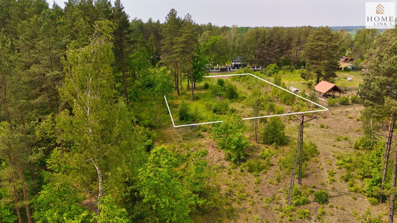 Działka leśna Klewki. Zdjęcie 7