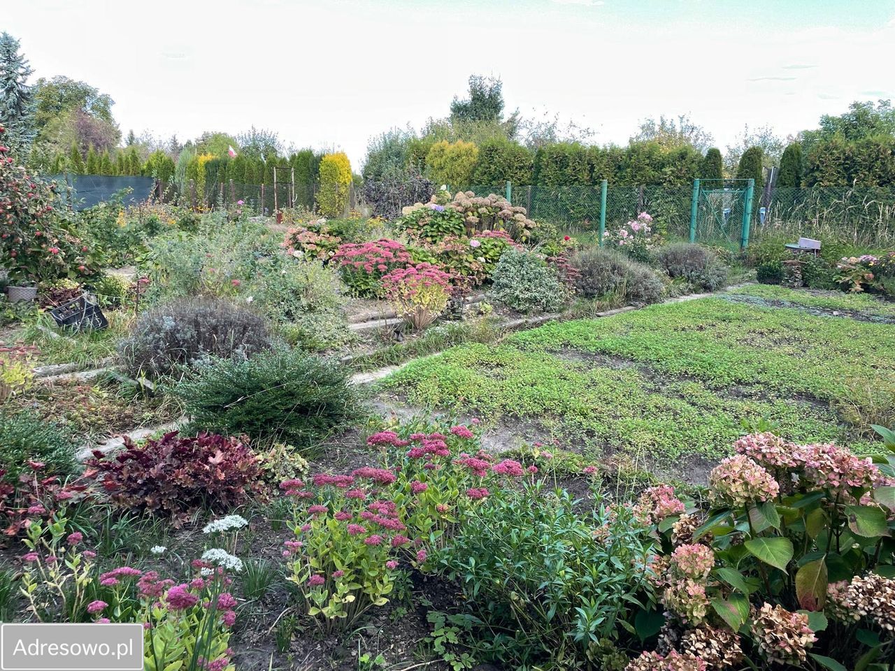 Działka rod Gliwice Wójtowa Wieś, ul. Ku Dołom. Zdjęcie 12