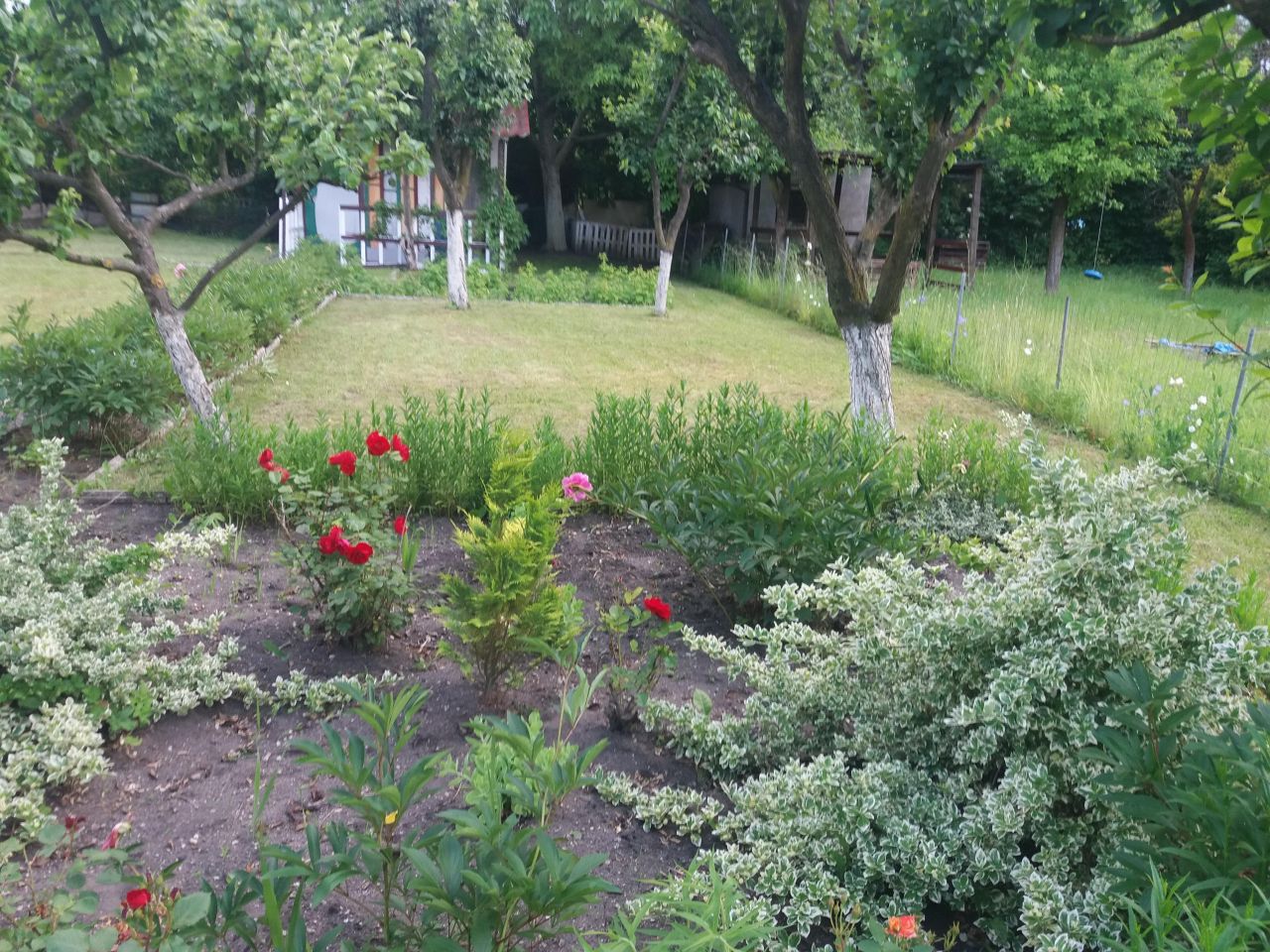 Działka rekreacyjna Opole Armii Krajowej, ul. Kazimierza Sosnkowskiego. Zdjęcie 9