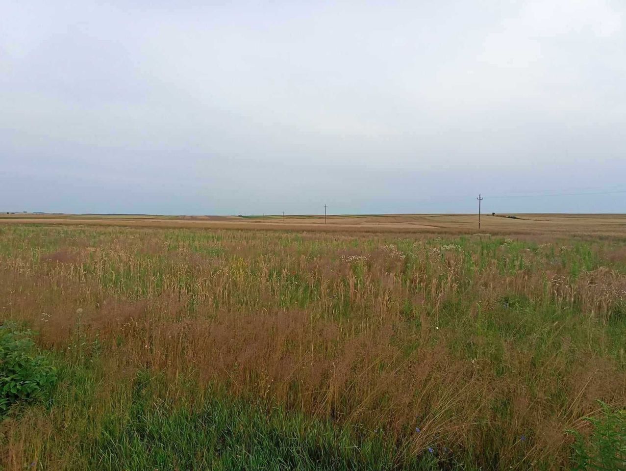 Działka budowlana Sielec. Zdjęcie 7