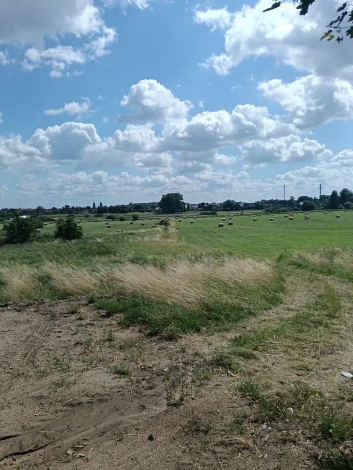 Działka budowlana Roztocze. Zdjęcie 7