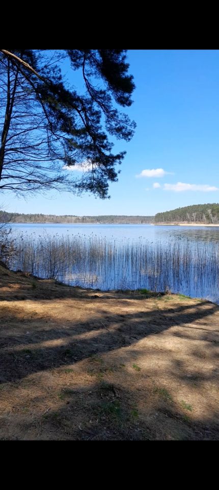 Działka rekreacyjna Zbiczno, Jeziorna. Zdjęcie 3