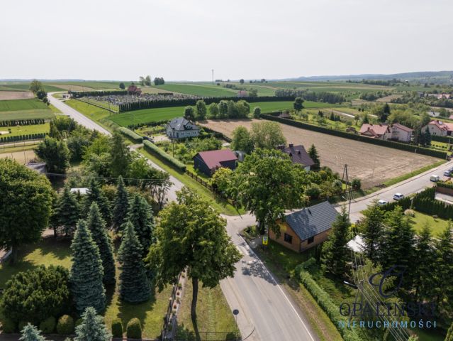 Lokal Rokietnica. Zdjęcie 15