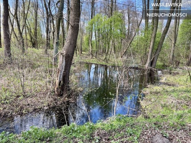Działka budowlana Wręcza. Zdjęcie 3