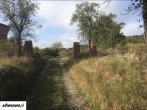 Działka rolno-budowlana Strzelce Dolne. Zdjęcie 3