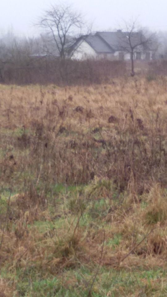 Działka rolna Szczecin Wielgowo