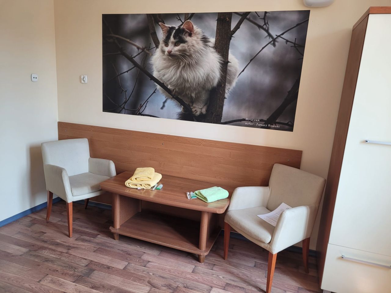 Nieruchomość komercyjna Horyniec-Zdrój, al. Przyjaźni. Zdjęcie 8