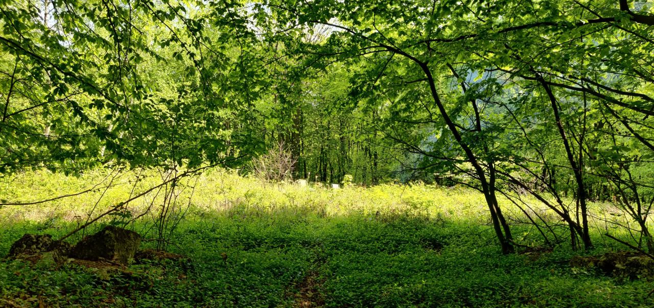 Działka rekreacyjna Łazy Łazy-Jawor. Zdjęcie 3