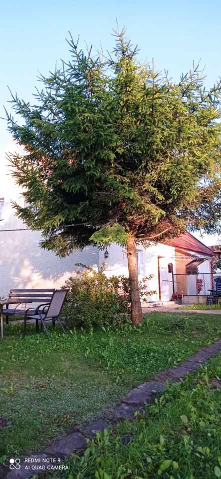 bliźniak Reszel. Zdjęcie 5