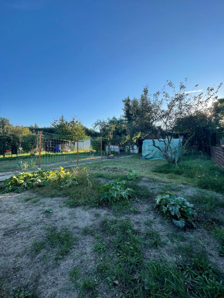 Działka rod Wrocław Stabłowice, ul. Górecka. Zdjęcie 5