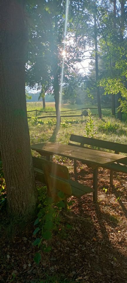 Działka rekreacyjna Zambski Kościelne. Zdjęcie 3