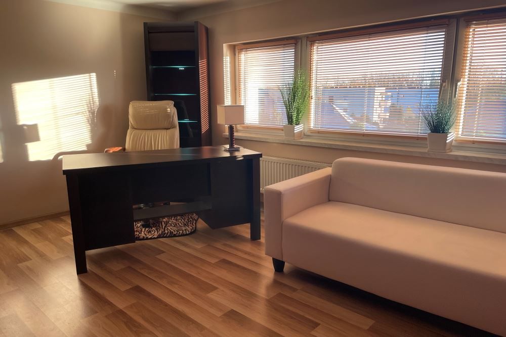 Hala/magazyn Katowice Dąbrówka Mała, ul. Styczniowa. Zdjęcie 25