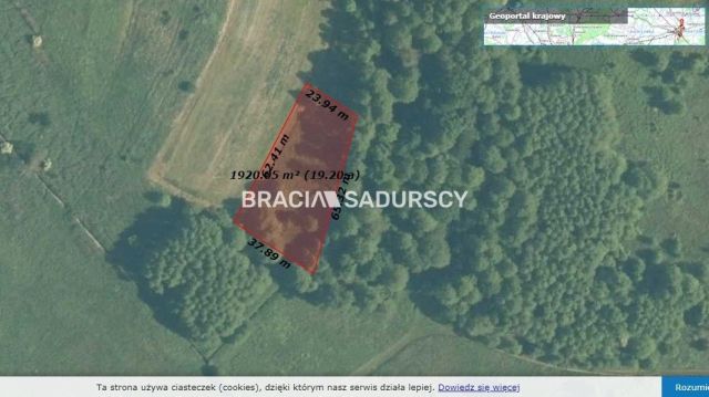 Działka inwestycyjna Rudno. Zdjęcie 3