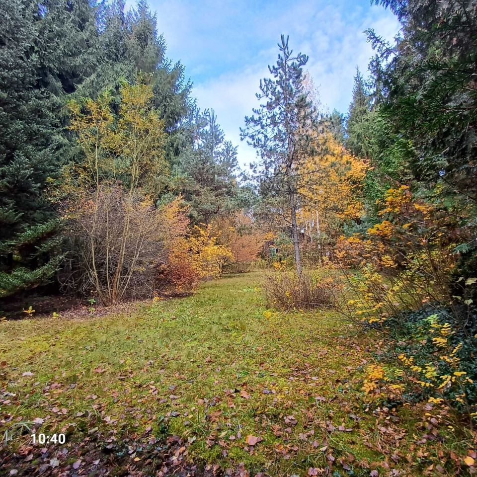 dom letniskowy Borków. Zdjęcie 3