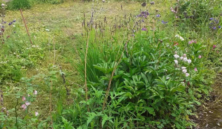 Działka rod Wrocław Sołtysowice