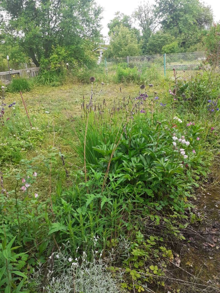 Działka rod Wrocław Sołtysowice