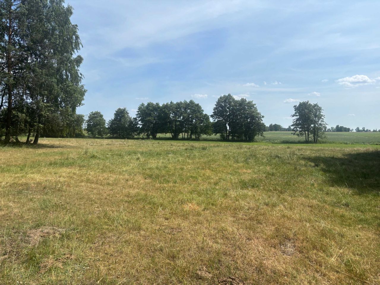 Działka rolno-budowlana Biernacice. Zdjęcie 8