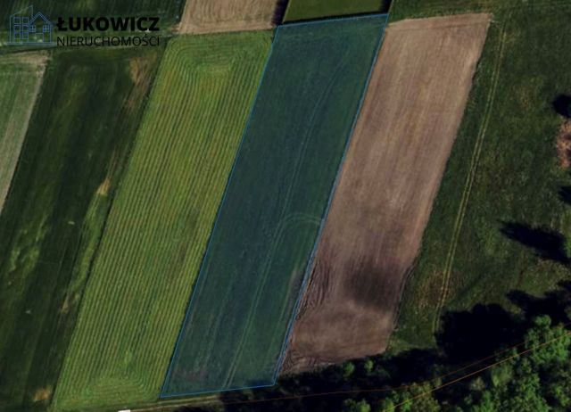 Działka inwestycyjna Goczałkowice-Zdrój. Zdjęcie 4