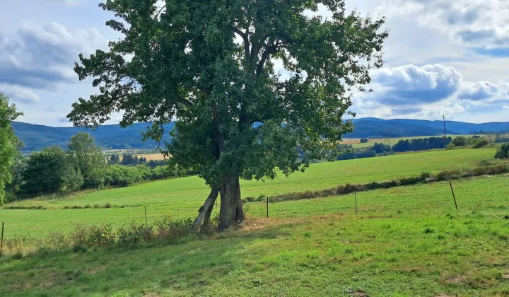 Działka inwestycyjna Szczytna, ul. Batorów