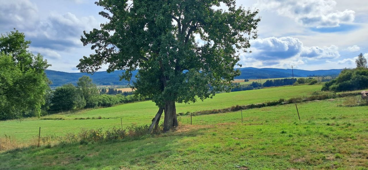 Działka inwestycyjna Szczytna, ul. Batorów. Zdjęcie 1