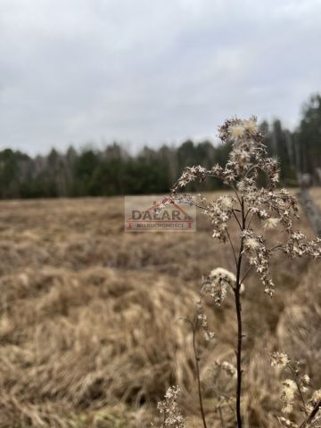 Działka rekreacyjna Biały Ług. Zdjęcie 1