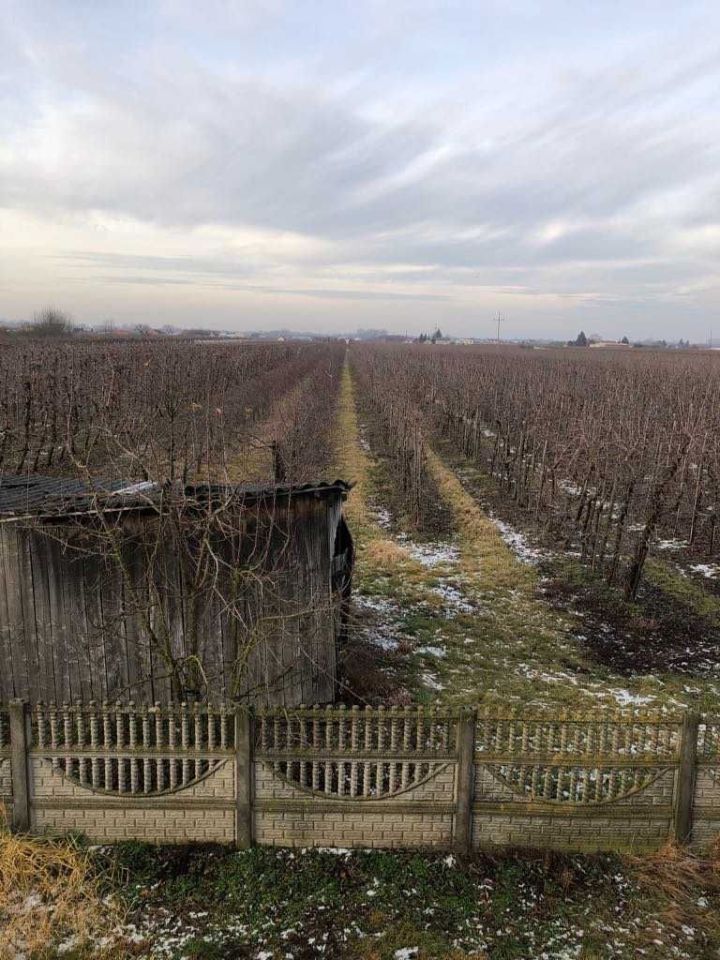 dom wolnostojący Gusin. Zdjęcie 2