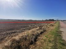 Działka inwestycyjna Kałków. Zdjęcie 3