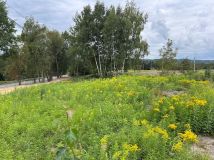 Działka budowlana Stojowice. Zdjęcie 4