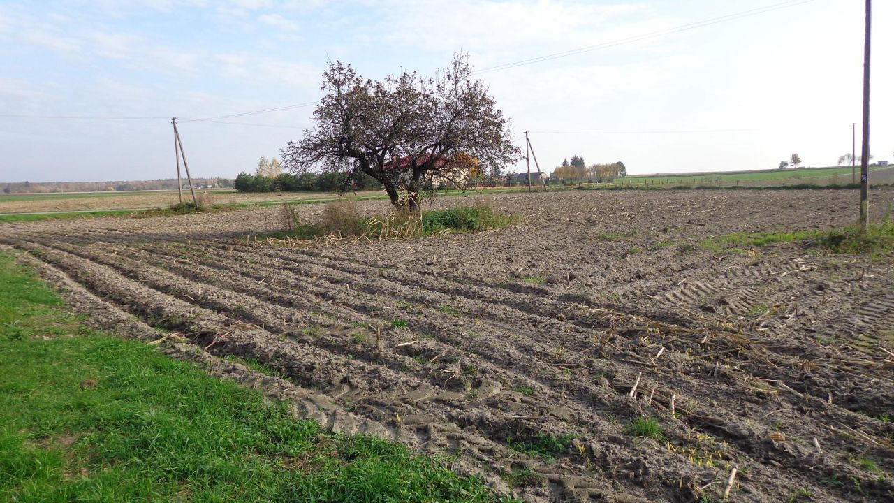 Działka rolno-budowlana Teremiec. Zdjęcie 13
