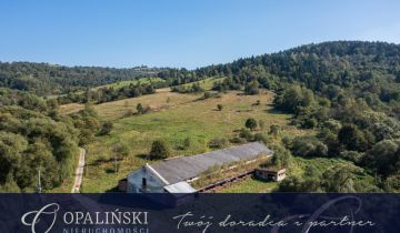 Hala/magazyn Krościenko