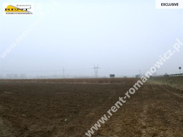 Działka rolna Reptowo. Zdjęcie 5