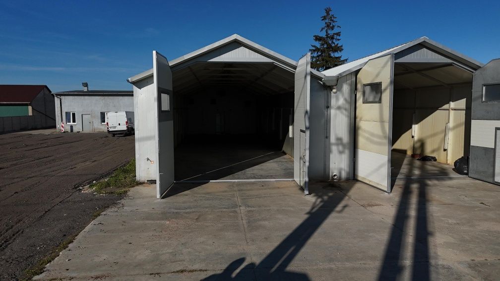 Hala/magazyn Wilczyn. Zdjęcie 4