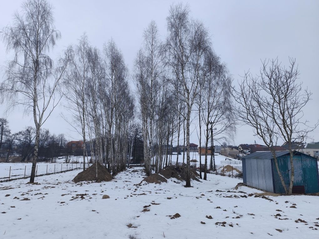 Działka budowlana Rogów. Zdjęcie 6