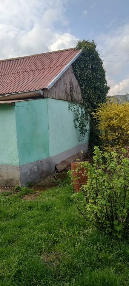 Działka rod Nysa, ul. Adama Mickiewicza. Zdjęcie 3