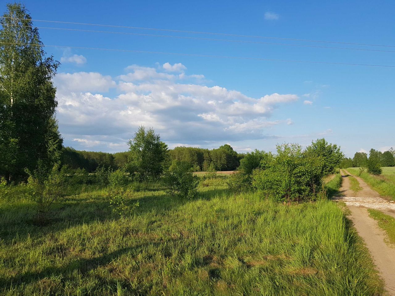 Działka budowlana Rajki. Zdjęcie 4