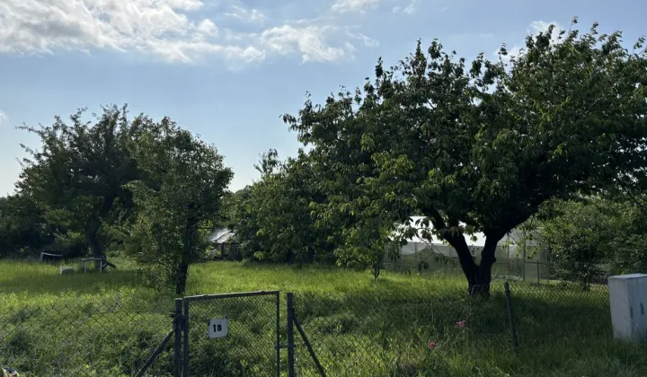 Działka rod Koszalin, ul. Holenderska