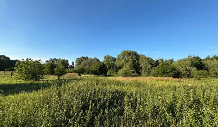 Działka budowlana Łącko