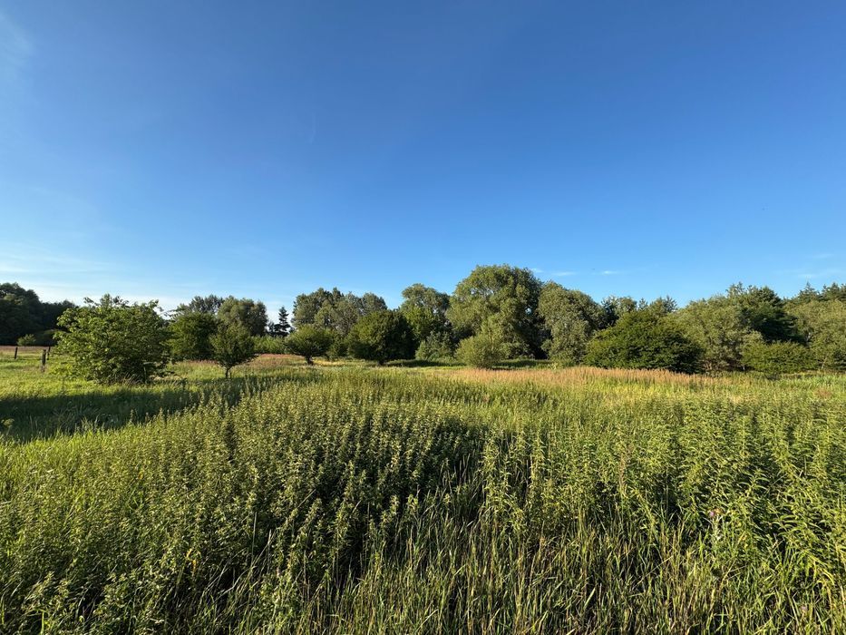 Działka budowlana Łącko