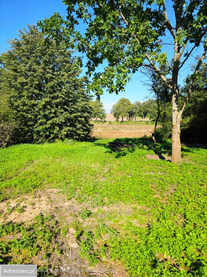 Działka budowlana Tarławki. Zdjęcie 11