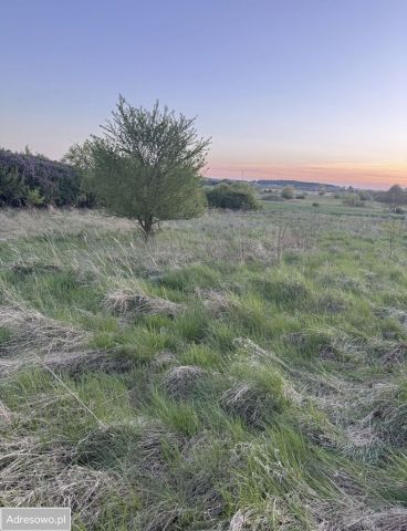 Działka budowlana Myślibórz, ul. Łużycka. Zdjęcie 1