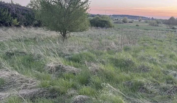 Działka budowlana Myślibórz, ul. Łużycka