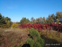 Działka budowlana Kocerany, ul. Widokowa. Zdjęcie 1