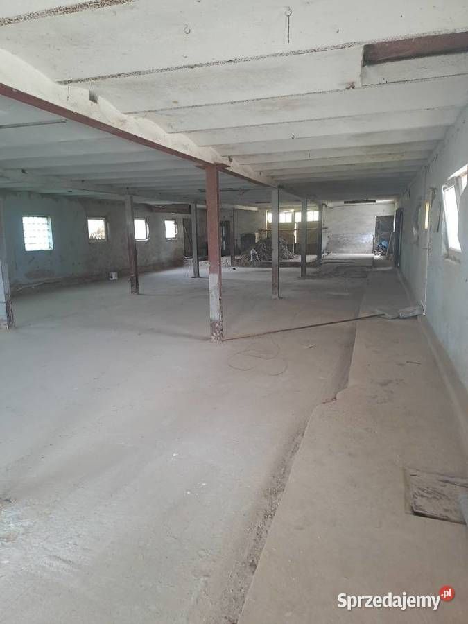 Hala/magazyn Józefów. Zdjęcie 2