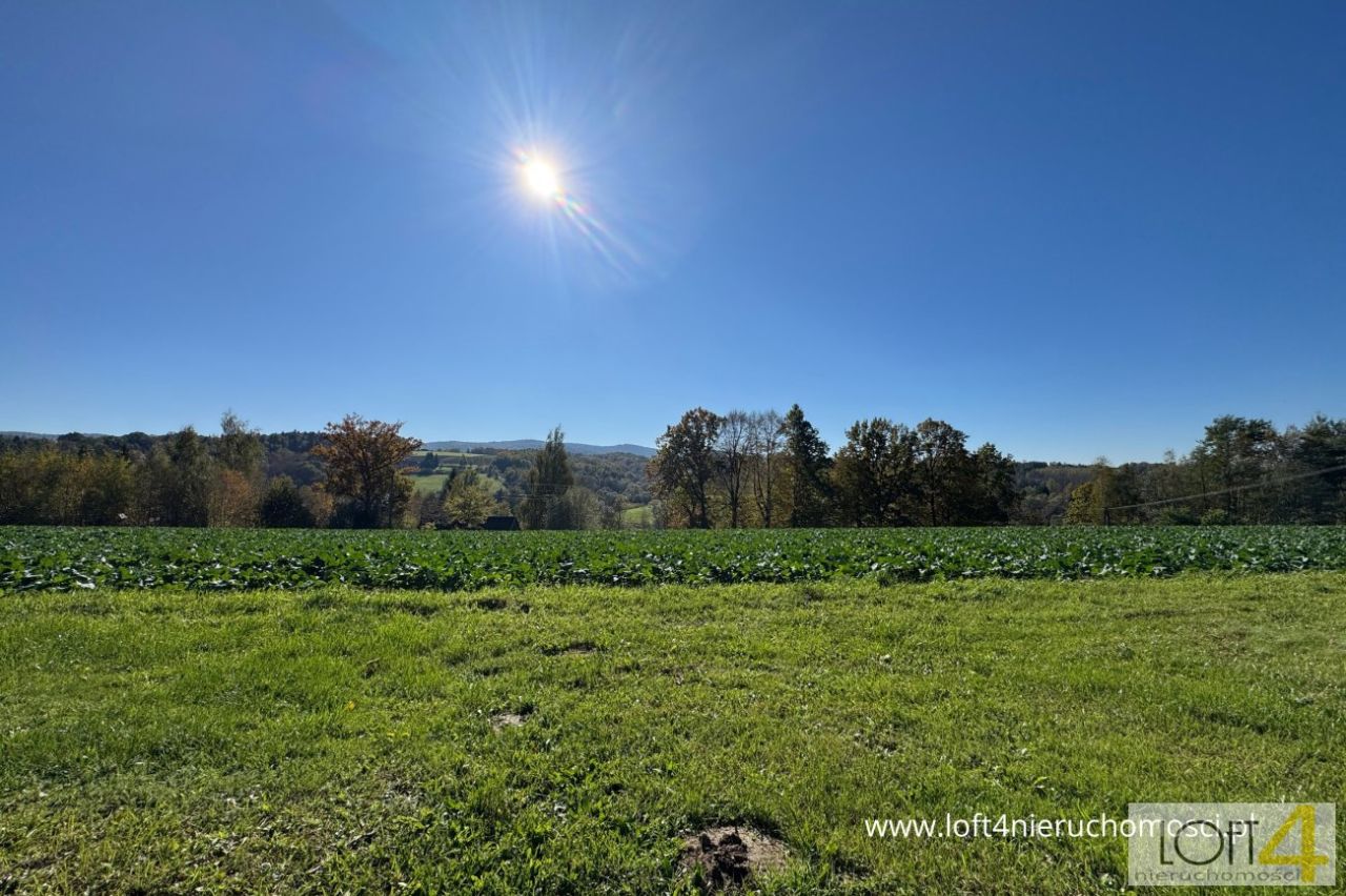 Działka budowlana Tuchów, ul. Ryglicka. Zdjęcie 3