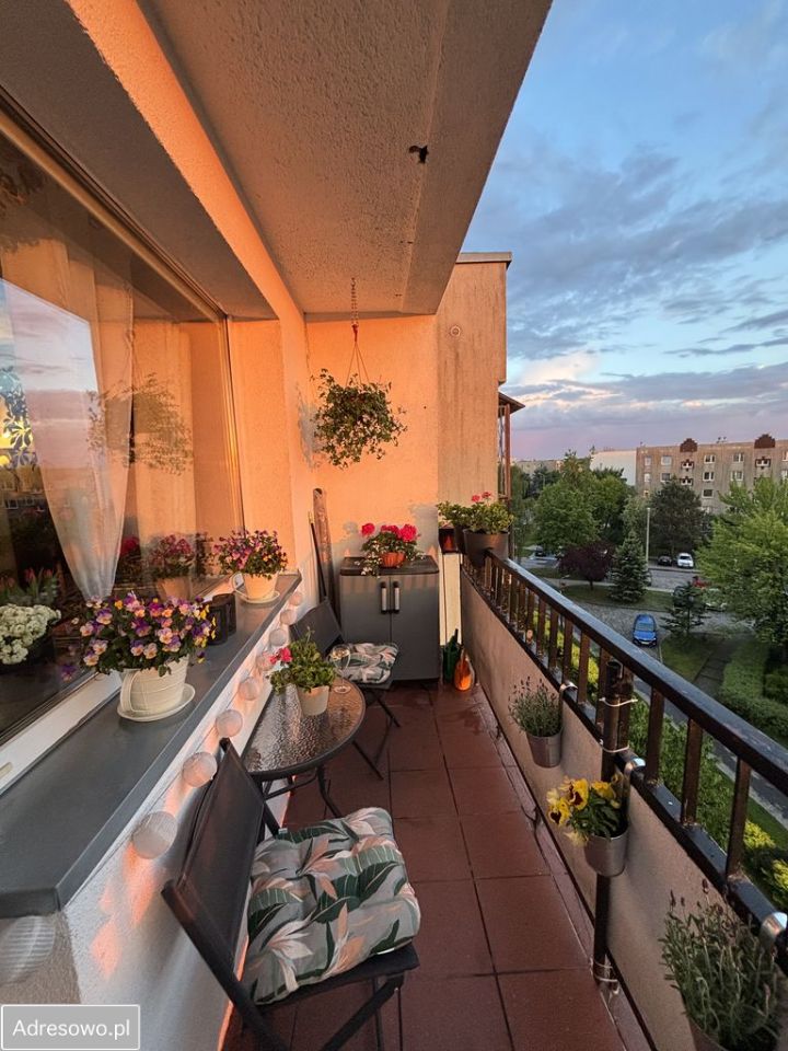 Mieszkanie 2-pokojowe Łódź Bałuty, ul. Syrenki. Zdjęcie 11