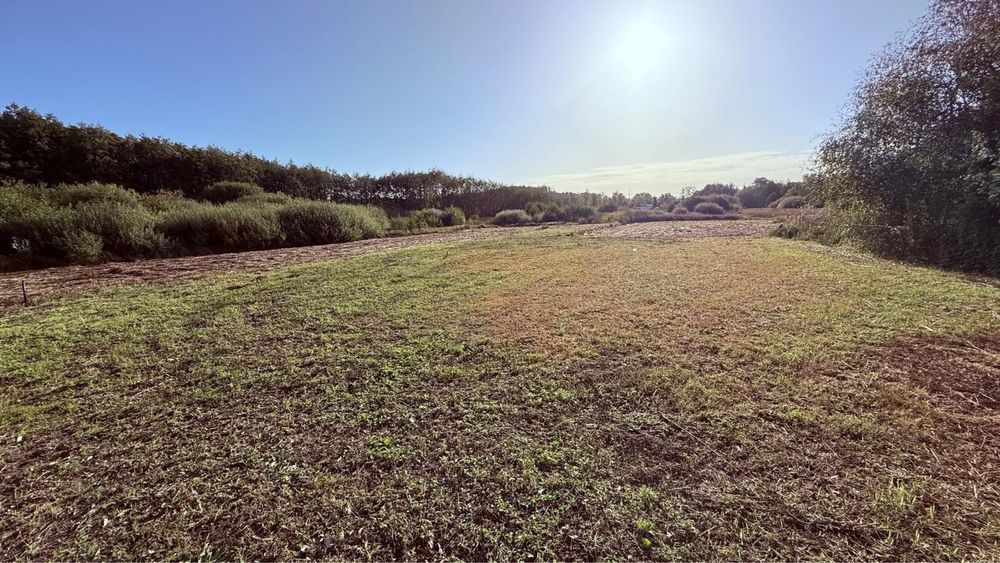 Działka budowlana Boszkowo. Zdjęcie 5