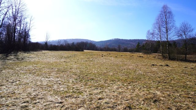 Działka rolna Regietów. Zdjęcie 4