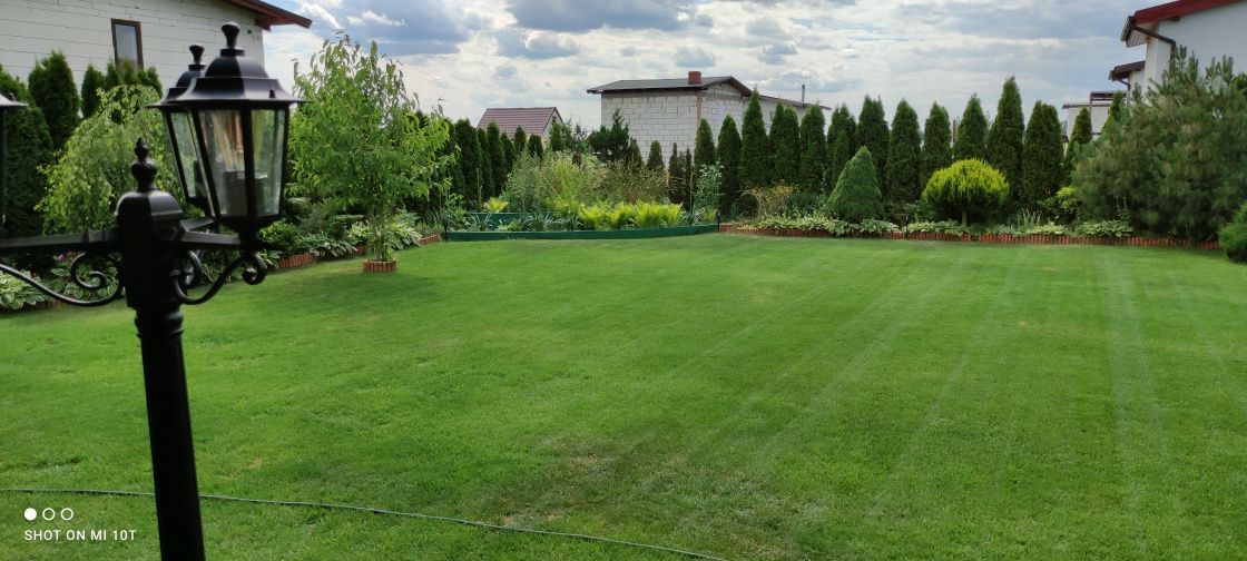 Działka rod Ludwikowo. Zdjęcie 1